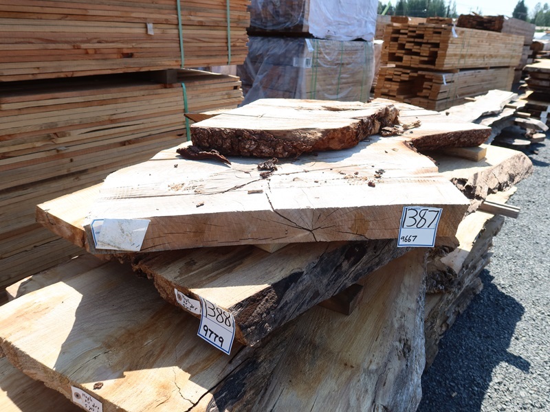 23/4" KILN DRIED LIVE EDGE ATLAS CEDAR SLAB SECTIONS, (1) 63" & (1) 29